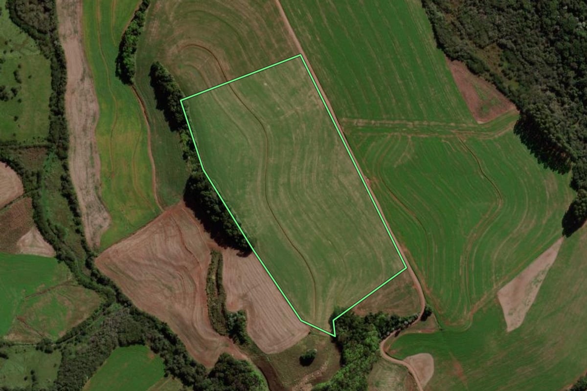 Imagem de satélite do imóvel rural em Francisco Beltrão (PR), com o contorno declarado no CAR desenhado por cima.