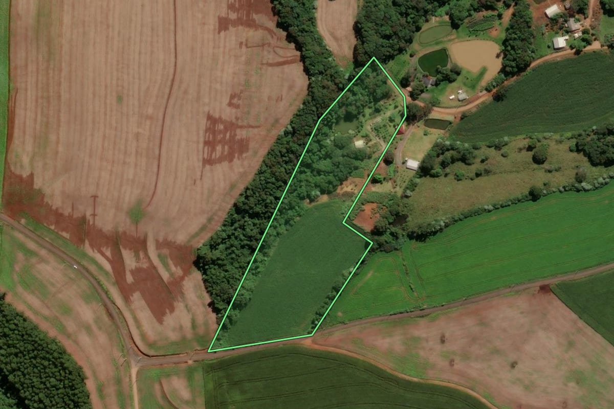 Imagem de satélite do imóvel rural em Francisco Beltrão (PR), com o contorno declarado no CAR desenhado por cima.
