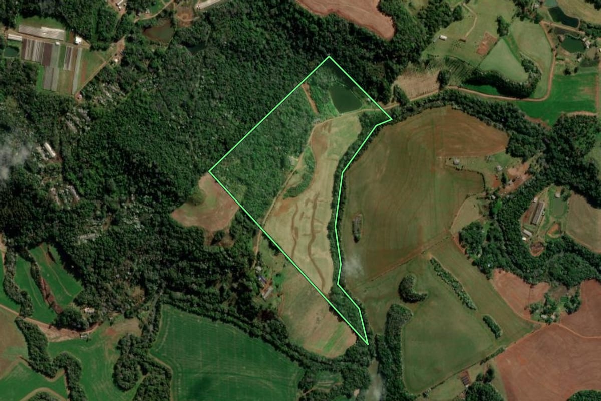 Imagem de satélite do imóvel rural em Francisco Beltrão (PR), com o contorno declarado no CAR desenhado por cima.