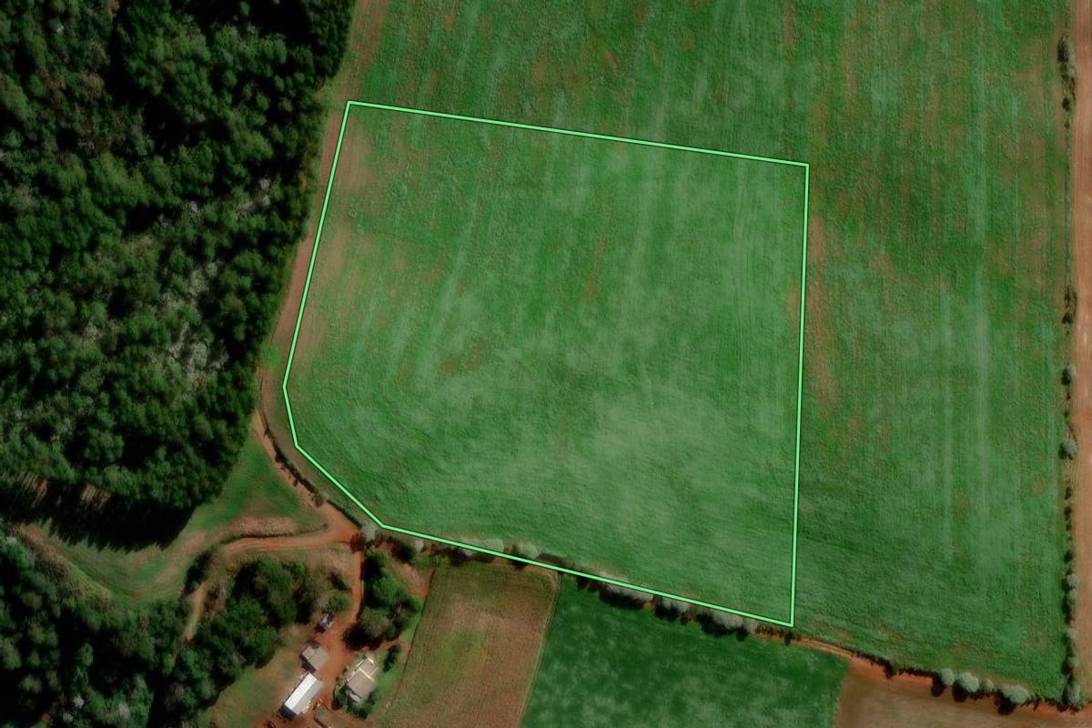 Imagem de satélite do imóvel rural em Francisco Beltrão (PR), com o contorno declarado no CAR desenhado por cima.
