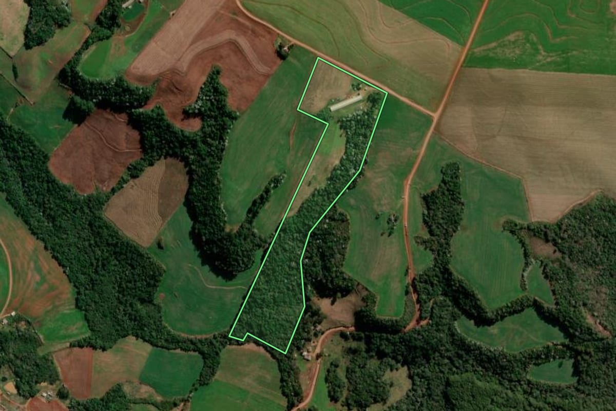 Imagem de satélite do imóvel rural em Francisco Beltrão (PR), com o contorno declarado no CAR desenhado por cima.