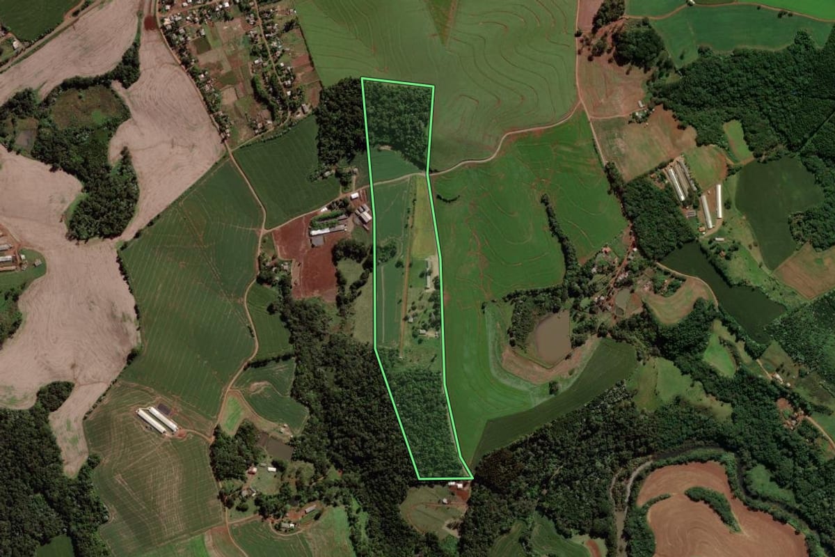 Imagem de satélite do imóvel rural em Francisco Beltrão (PR), com o contorno declarado no CAR desenhado por cima.