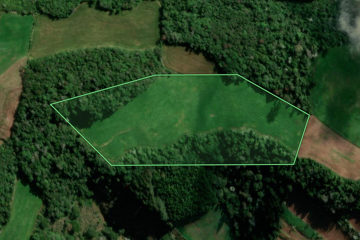 Imagem de satélite do imóvel rural em Francisco Beltrão (PR), com o contorno declarado no CAR desenhado por cima.