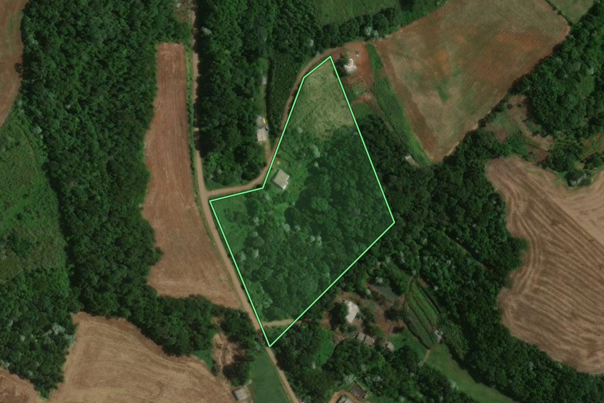Imagem de satélite do imóvel rural em Francisco Beltrão (PR), com o contorno declarado no CAR desenhado por cima.