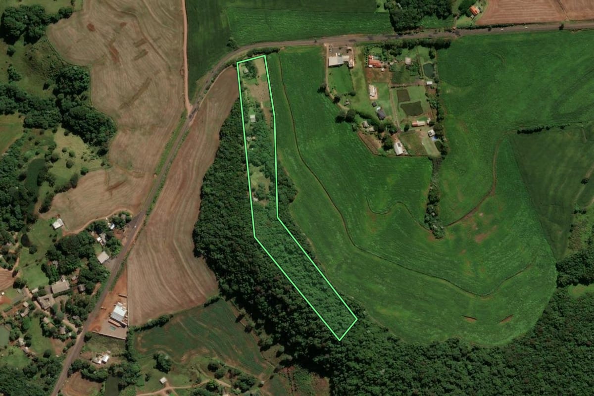 Imagem de satélite do imóvel rural em Francisco Beltrão (PR), com o contorno declarado no CAR desenhado por cima.