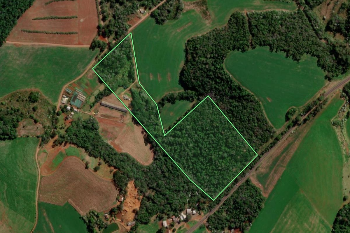 Imagem de satélite do imóvel rural em Francisco Beltrão (PR), com o contorno declarado no CAR desenhado por cima.