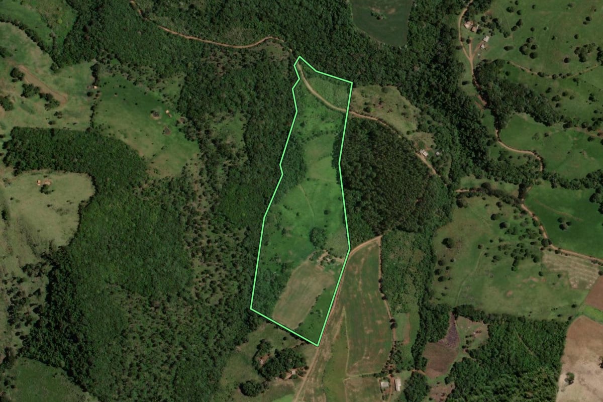 Imagem de satélite do imóvel rural em Francisco Beltrão (PR), com o contorno declarado no CAR desenhado por cima.