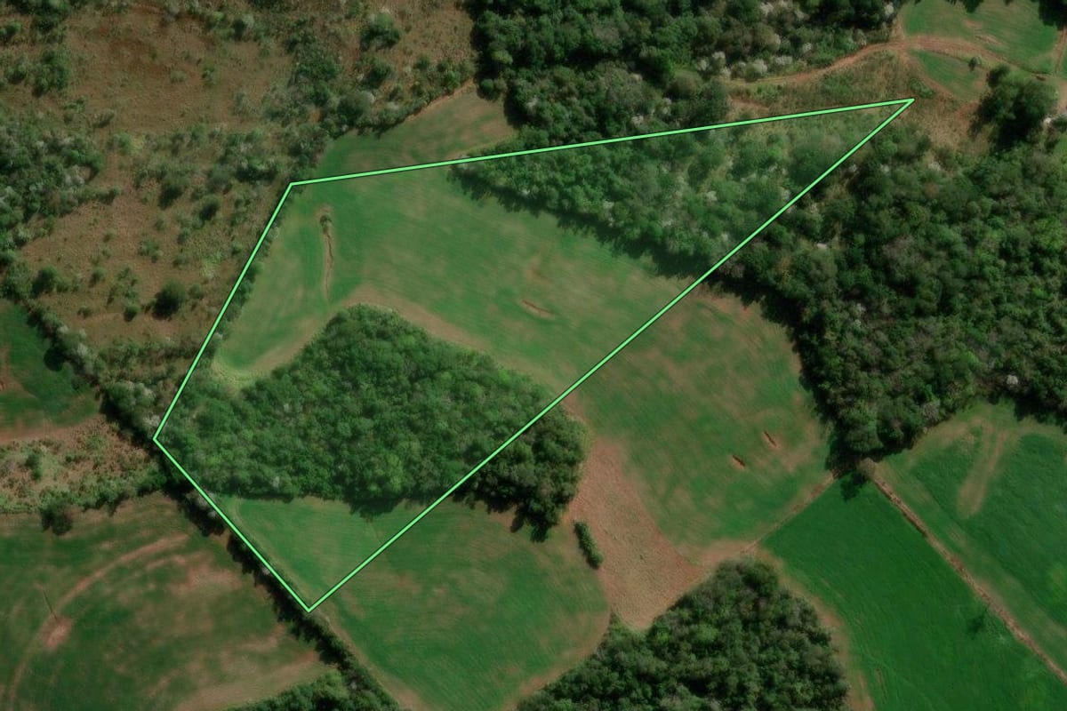Imagem de satélite do imóvel rural em Francisco Beltrão (PR), com o contorno declarado no CAR desenhado por cima.