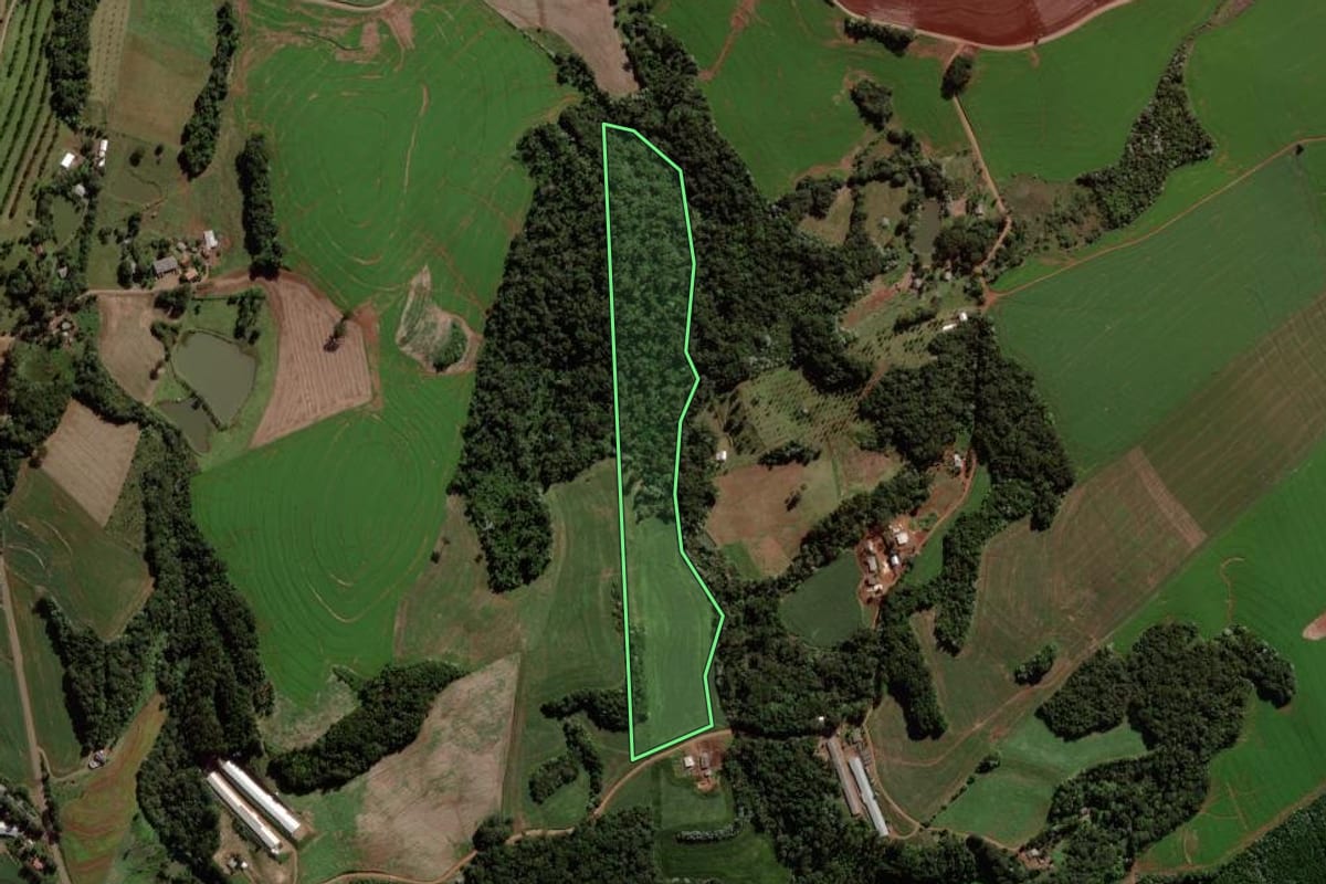 Imagem de satélite do imóvel rural em Francisco Beltrão (PR), com o contorno declarado no CAR desenhado por cima.