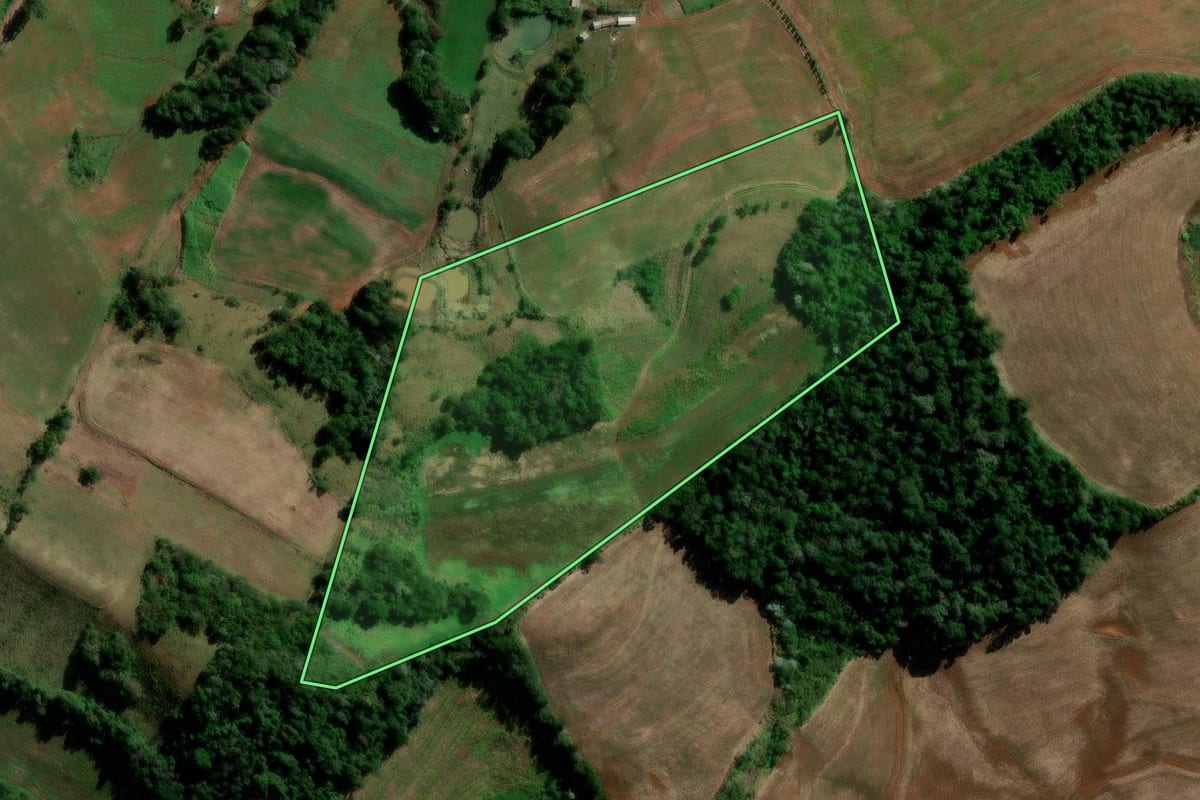 Imagem de satélite do imóvel rural em Francisco Beltrão (PR), com o contorno declarado no CAR desenhado por cima.