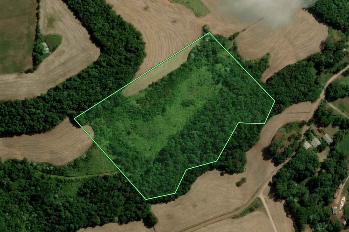 Imagem de satélite do imóvel rural em Francisco Beltrão (PR), com o contorno declarado no CAR desenhado por cima.