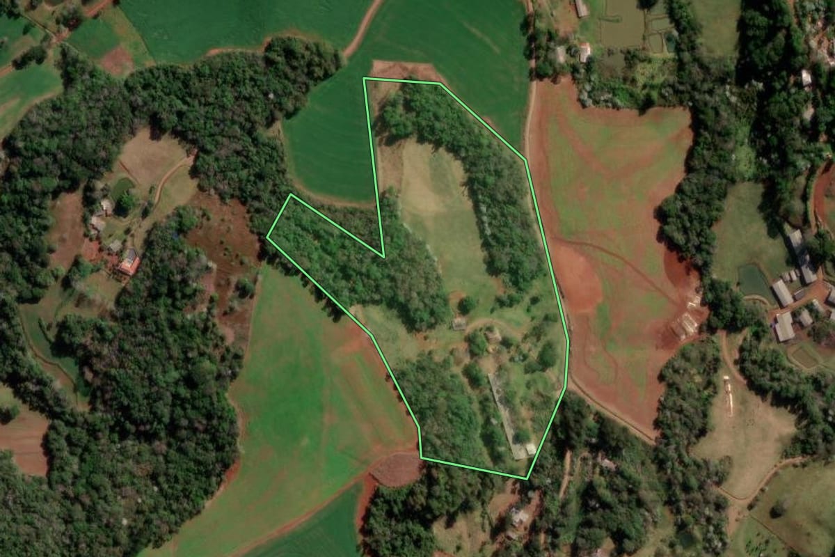 Imagem de satélite do imóvel rural em Francisco Beltrão (PR), com o contorno declarado no CAR desenhado por cima.