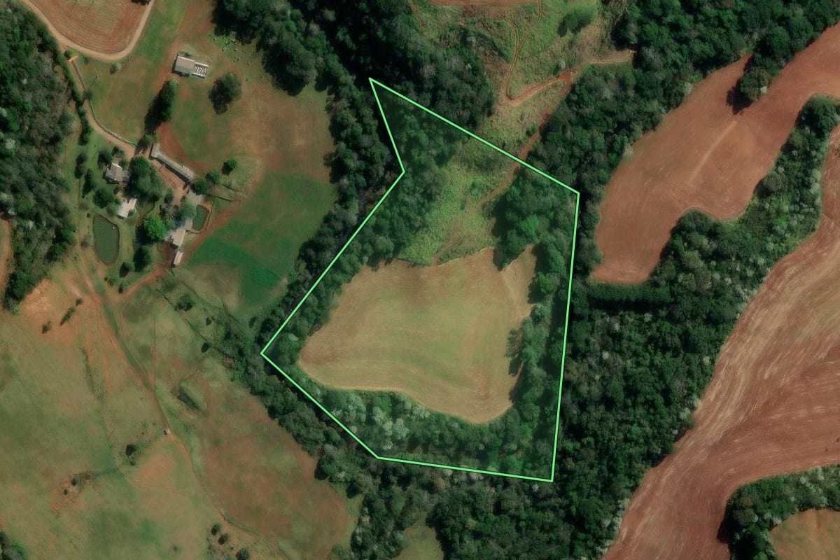 Imagem de satélite do imóvel rural em Francisco Beltrão (PR), com o contorno declarado no CAR desenhado por cima.