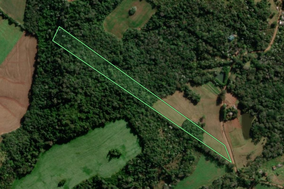 Imagem de satélite do imóvel rural em Francisco Beltrão (PR), com o contorno declarado no CAR desenhado por cima.