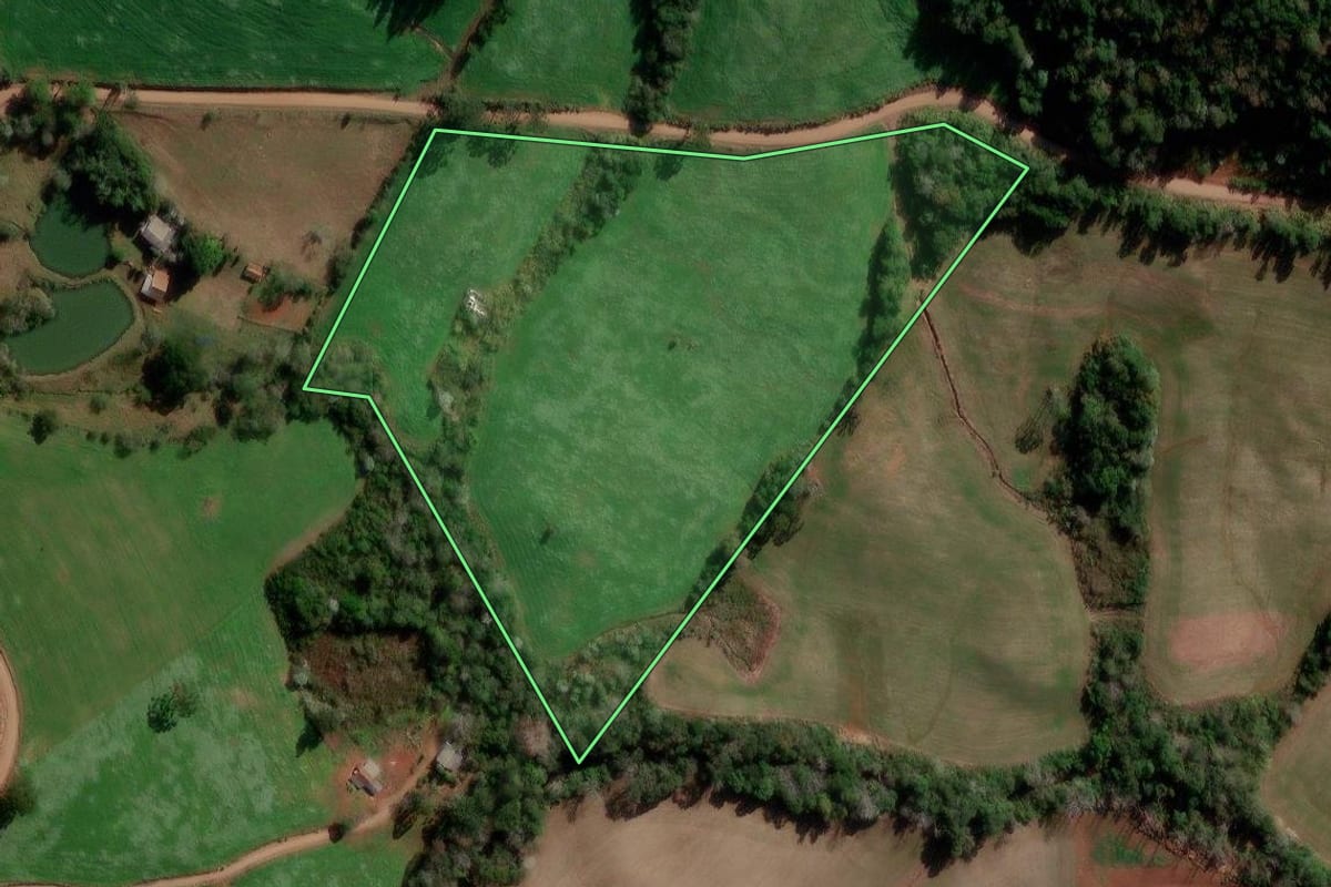Imagem de satélite do imóvel rural em Francisco Beltrão (PR), com o contorno declarado no CAR desenhado por cima.