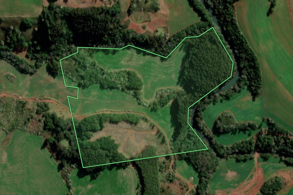 Imagem de satélite do imóvel rural em Francisco Beltrão (PR), com o contorno declarado no CAR desenhado por cima.