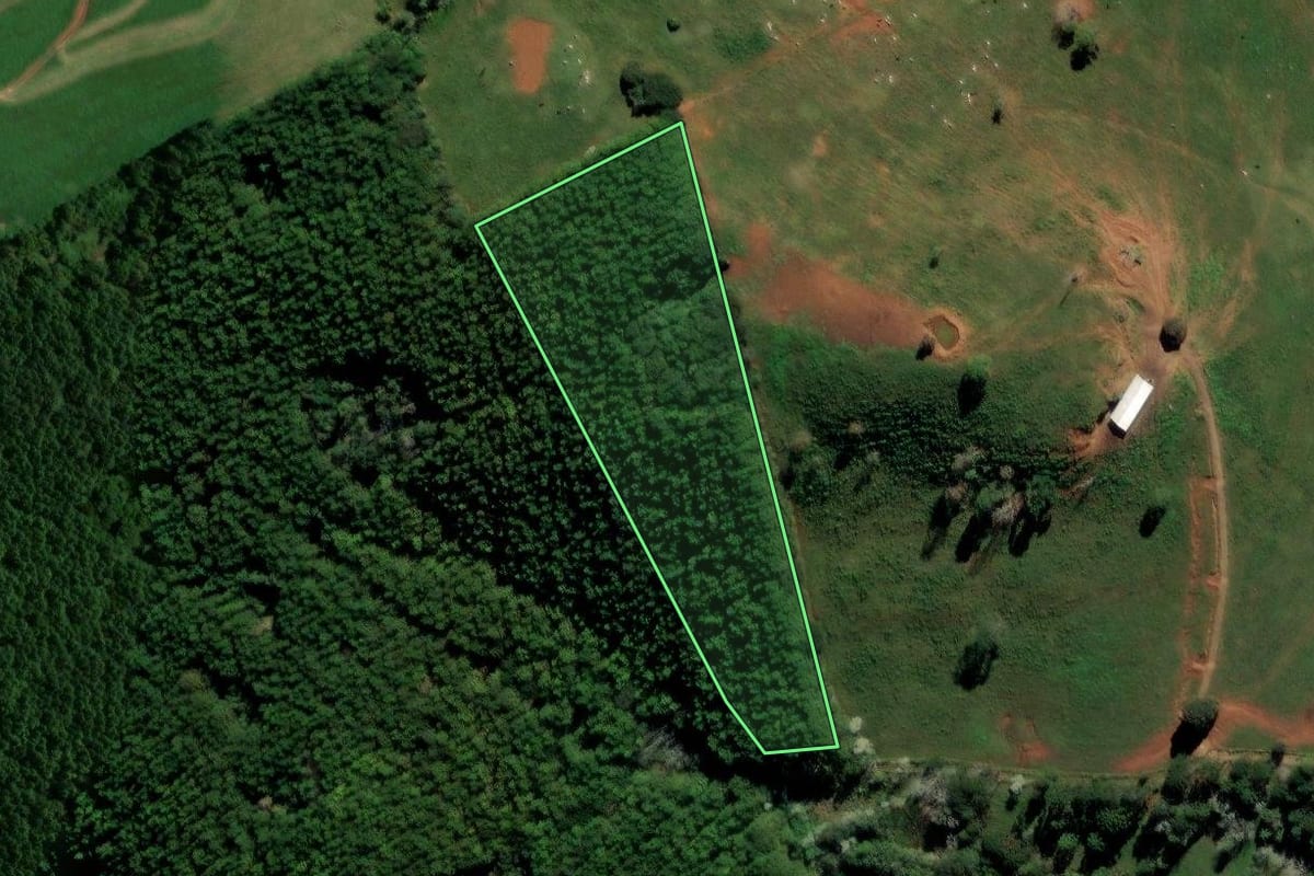 Imagem de satélite do imóvel rural em Francisco Beltrão (PR), com o contorno declarado no CAR desenhado por cima.