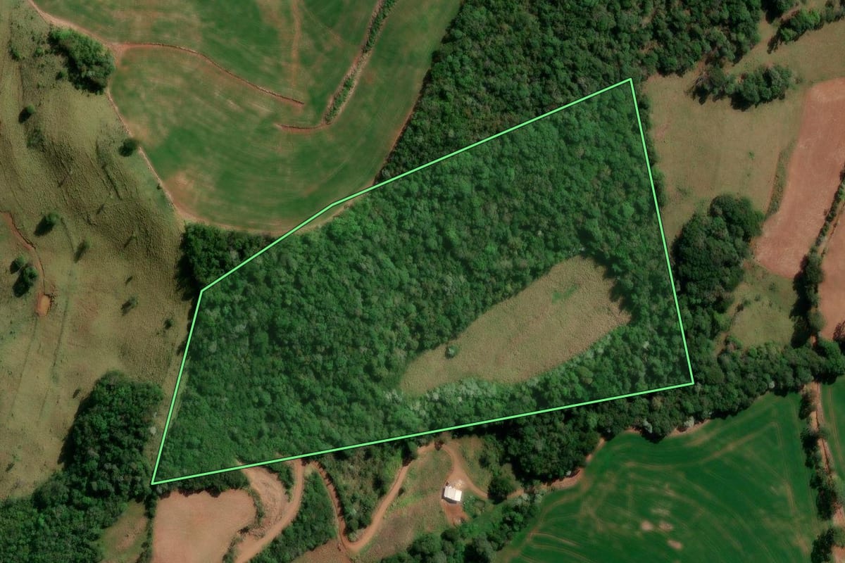 Imagem de satélite do imóvel rural em Francisco Beltrão (PR), com o contorno declarado no CAR desenhado por cima.