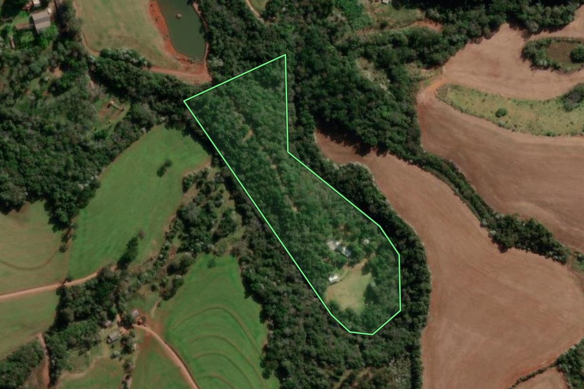 Imagem de satélite do imóvel rural em Francisco Beltrão (PR), com o contorno declarado no CAR desenhado por cima.