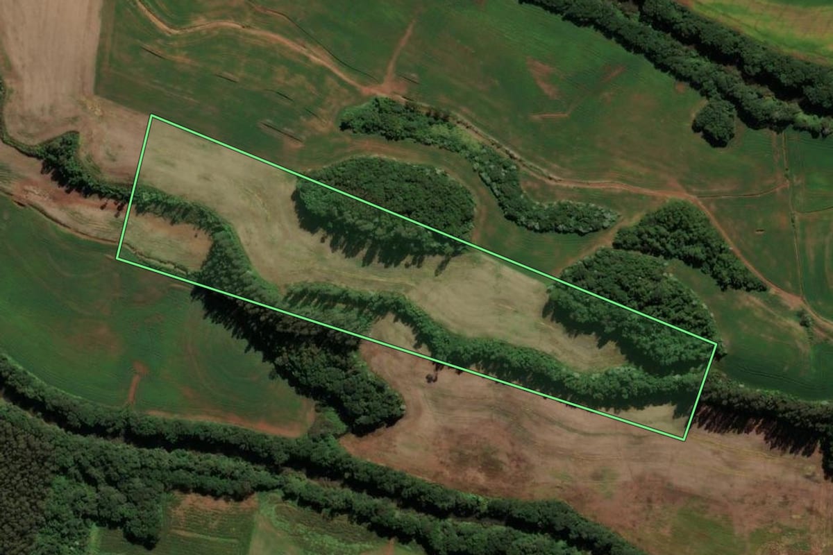 Imagem de satélite do imóvel rural em Francisco Beltrão (PR), com o contorno declarado no CAR desenhado por cima.