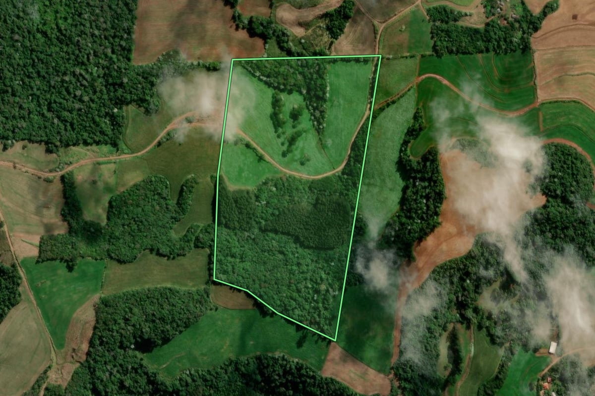 Imagem de satélite do imóvel rural em Francisco Beltrão (PR), com o contorno declarado no CAR desenhado por cima.