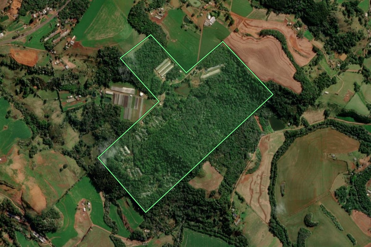 Imagem de satélite do imóvel rural em Francisco Beltrão (PR), com o contorno declarado no CAR desenhado por cima.