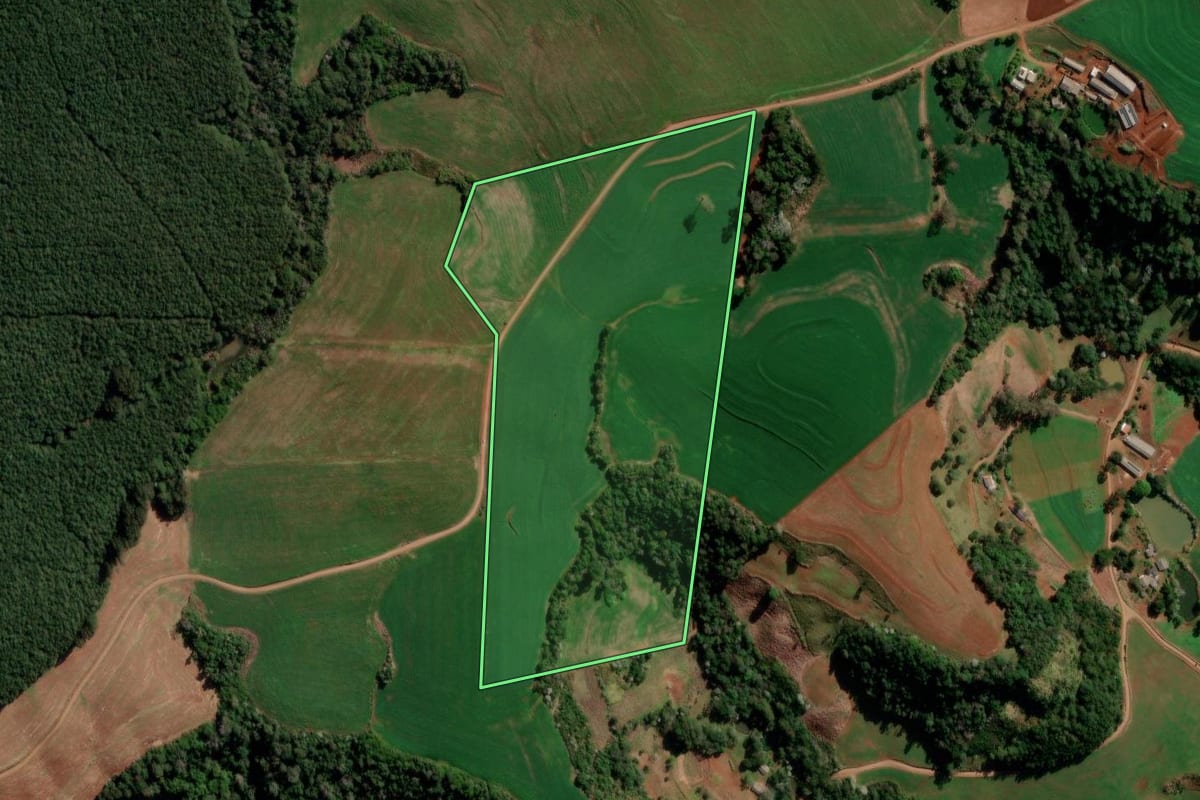 Imagem de satélite do imóvel rural em Francisco Beltrão (PR), com o contorno declarado no CAR desenhado por cima.