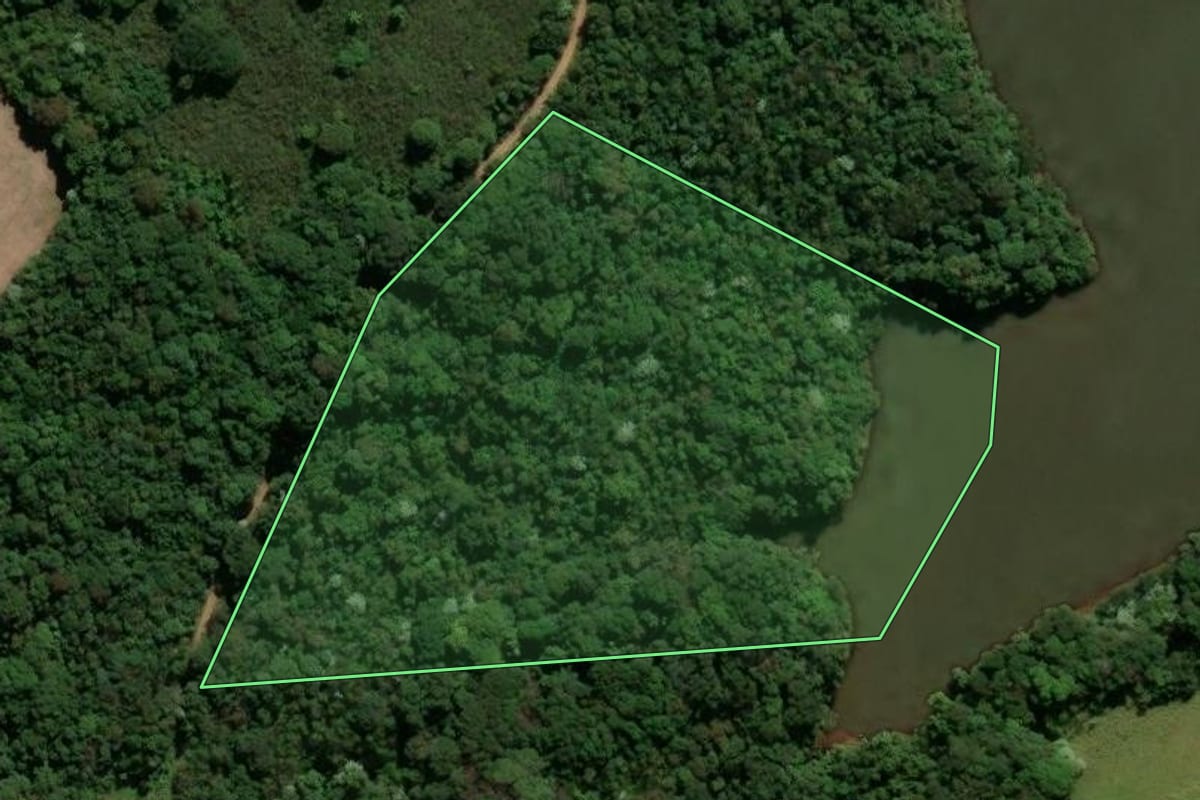 Imagem de satélite do imóvel rural em Francisco Beltrão (PR), com o contorno declarado no CAR desenhado por cima.