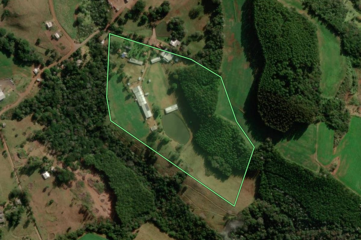 Imagem de satélite do imóvel rural em Francisco Beltrão (PR), com o contorno declarado no CAR desenhado por cima.