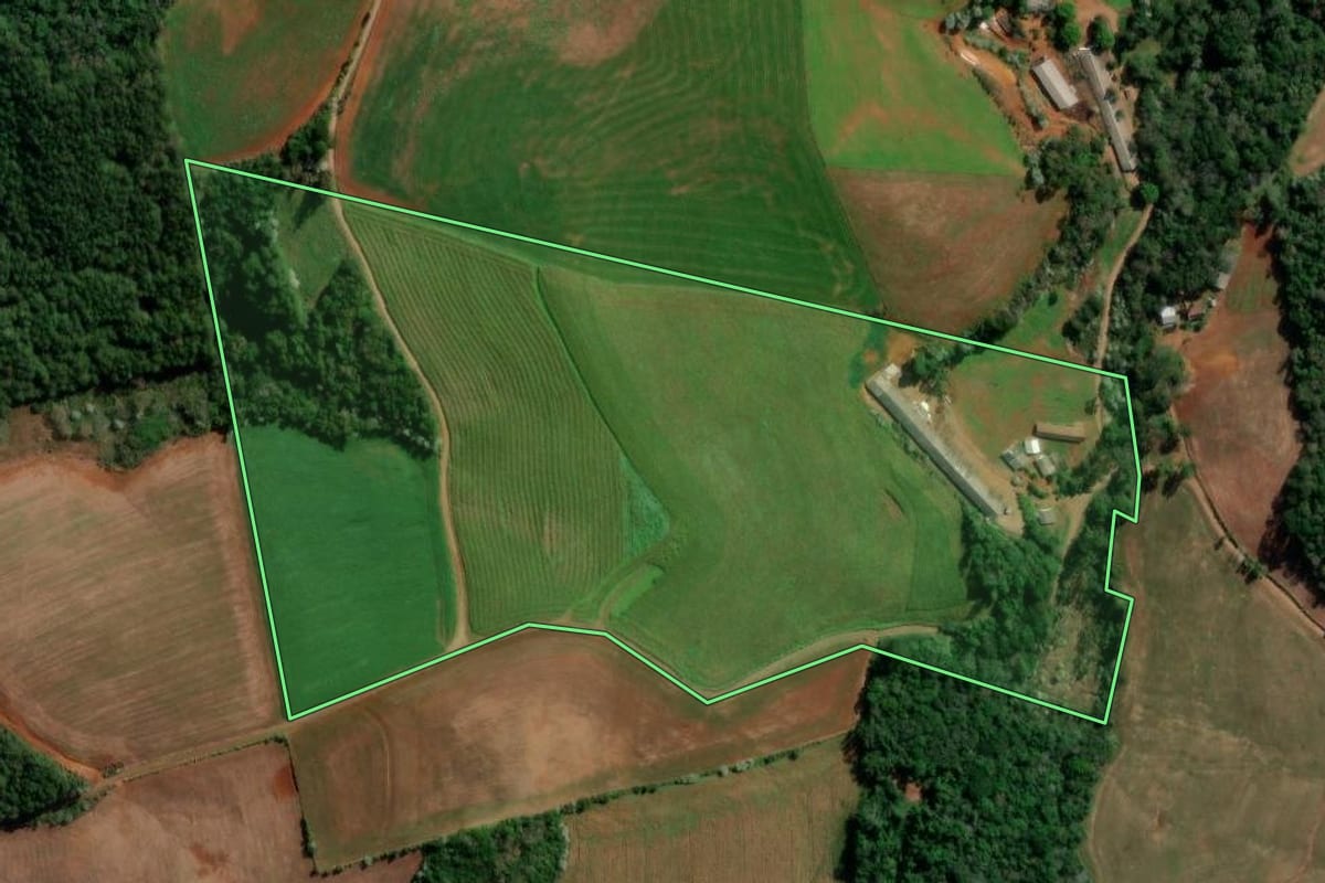 Imagem de satélite do imóvel rural em Francisco Beltrão (PR), com o contorno declarado no CAR desenhado por cima.
