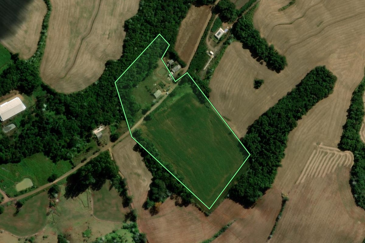 Imagem de satélite do imóvel rural em Francisco Beltrão (PR), com o contorno declarado no CAR desenhado por cima.