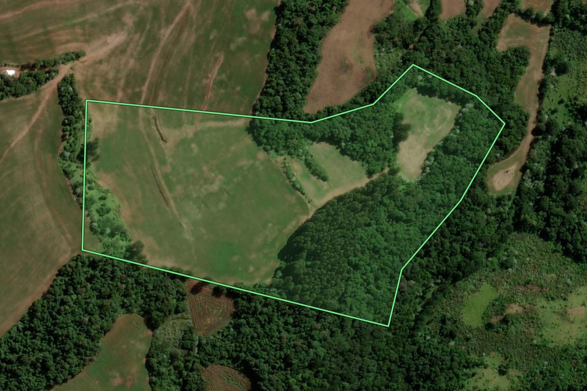 Imagem de satélite do imóvel rural em Francisco Beltrão (PR), com o contorno declarado no CAR desenhado por cima.