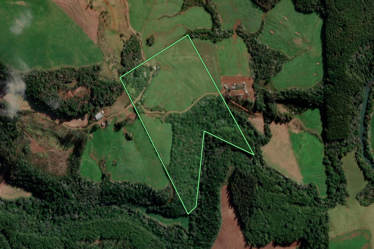 Imagem de satélite do imóvel rural em Francisco Beltrão (PR), com o contorno declarado no CAR desenhado por cima.