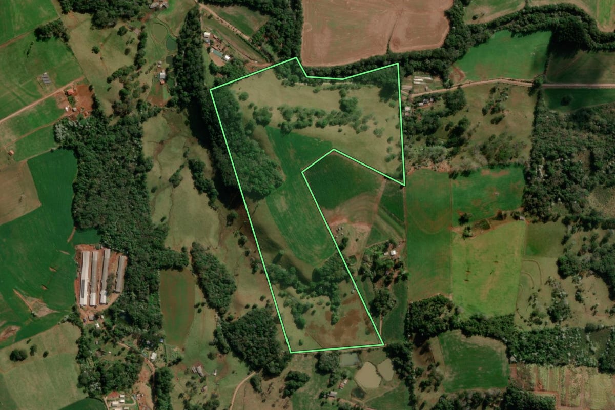 Imagem de satélite do imóvel rural em Francisco Beltrão (PR), com o contorno declarado no CAR desenhado por cima.