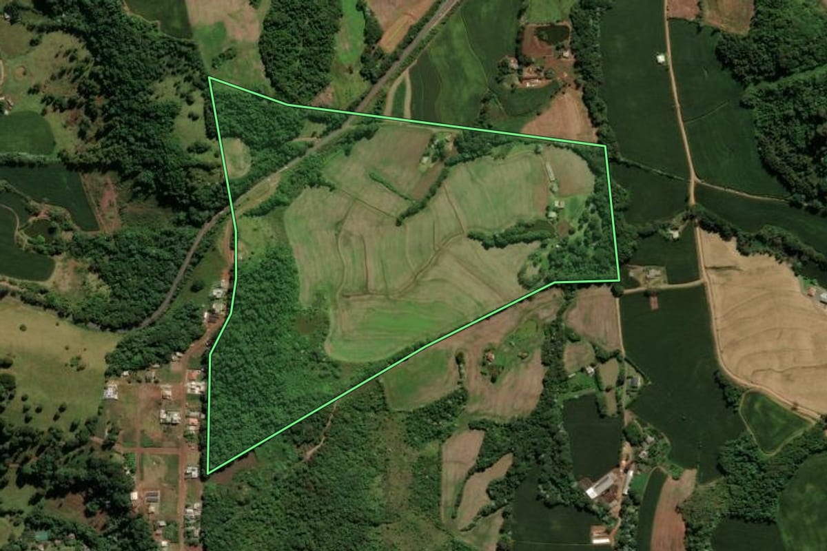 Imagem de satélite do imóvel rural em Francisco Beltrão (PR), com o contorno declarado no CAR desenhado por cima.