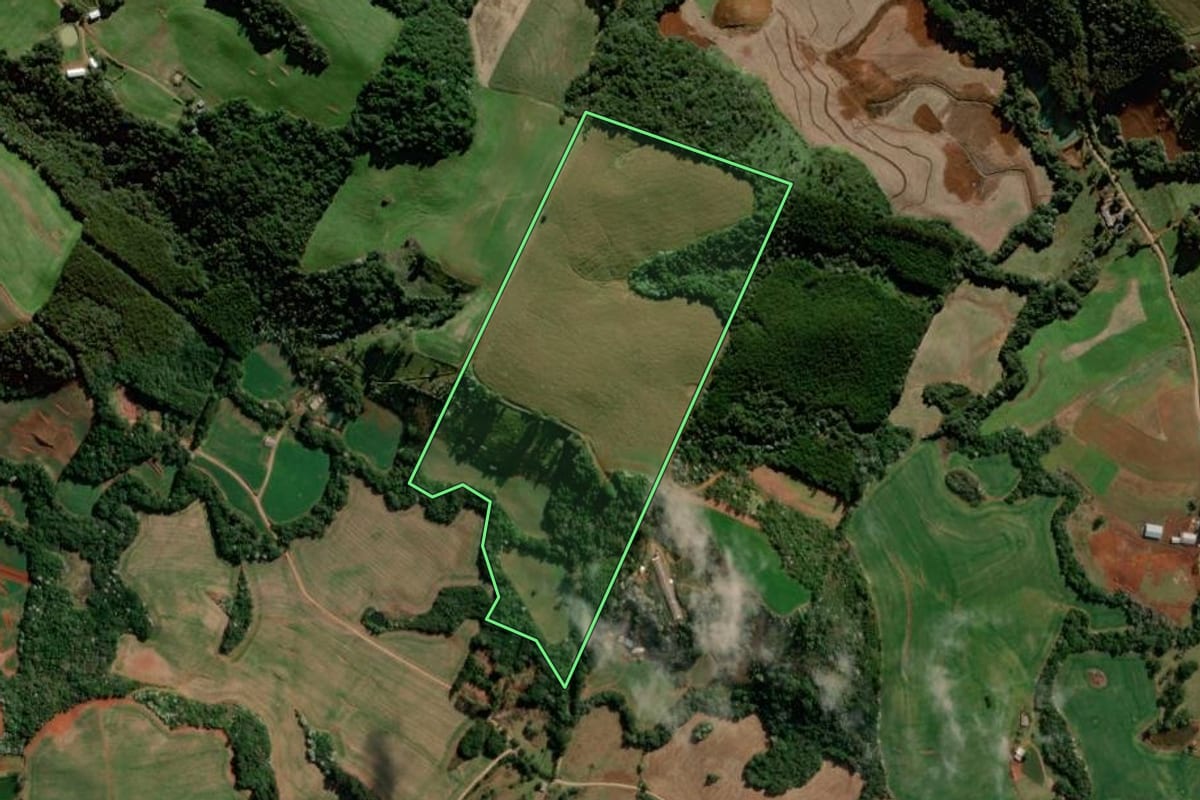 Imagem de satélite do imóvel rural em Francisco Beltrão (PR), com o contorno declarado no CAR desenhado por cima.