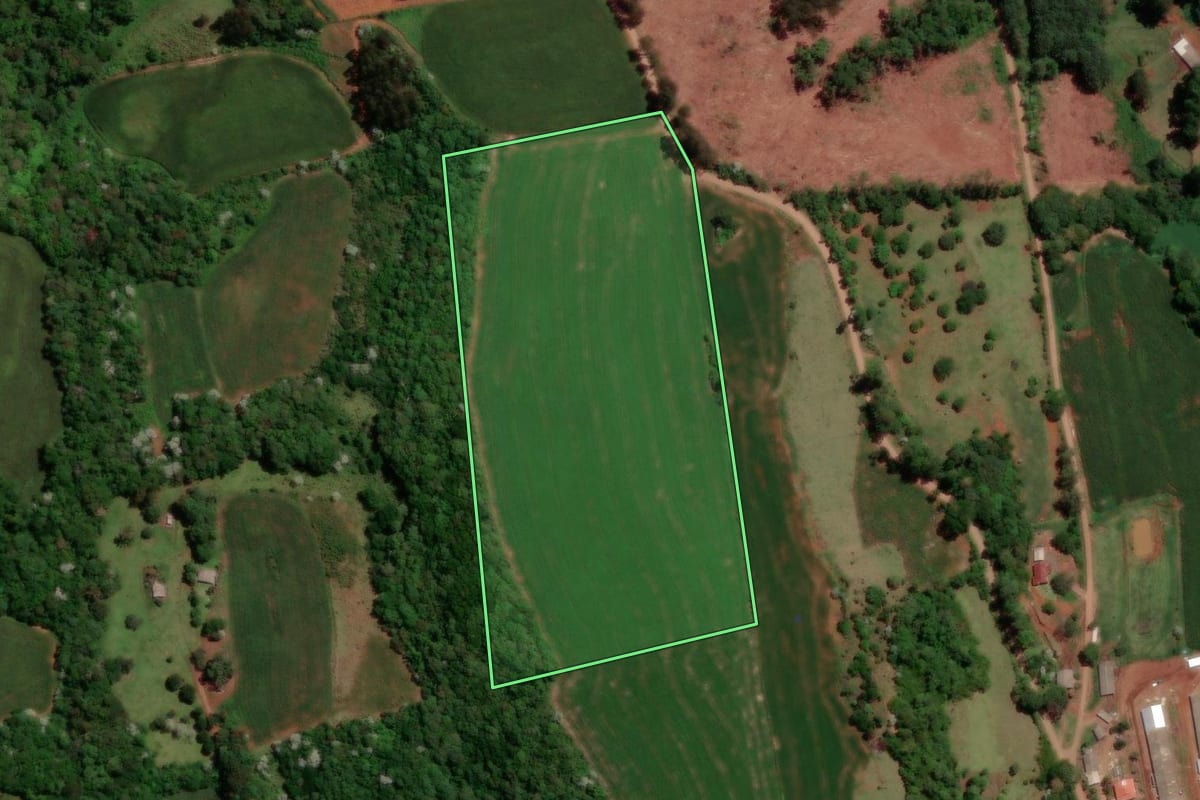 Imagem de satélite do imóvel rural em Francisco Beltrão (PR), com o contorno declarado no CAR desenhado por cima.