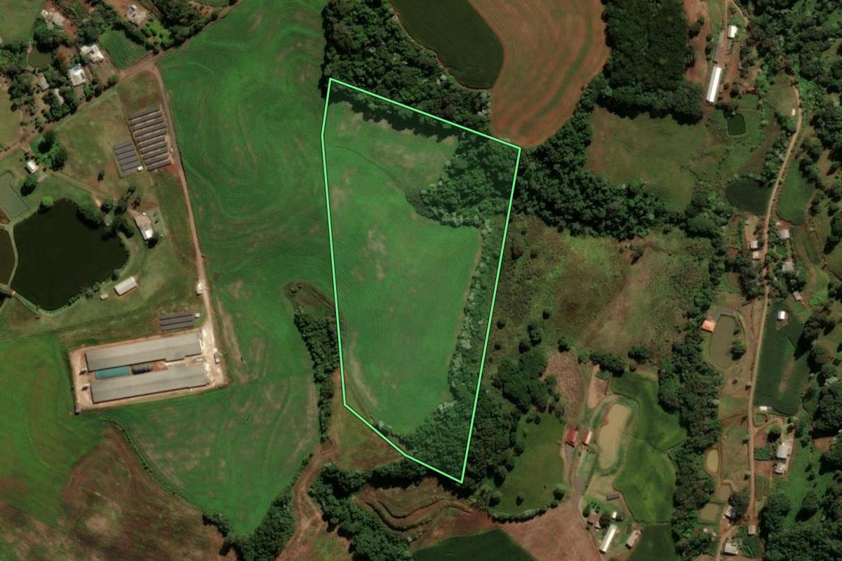 Imagem de satélite do imóvel rural em Francisco Beltrão (PR), com o contorno declarado no CAR desenhado por cima.