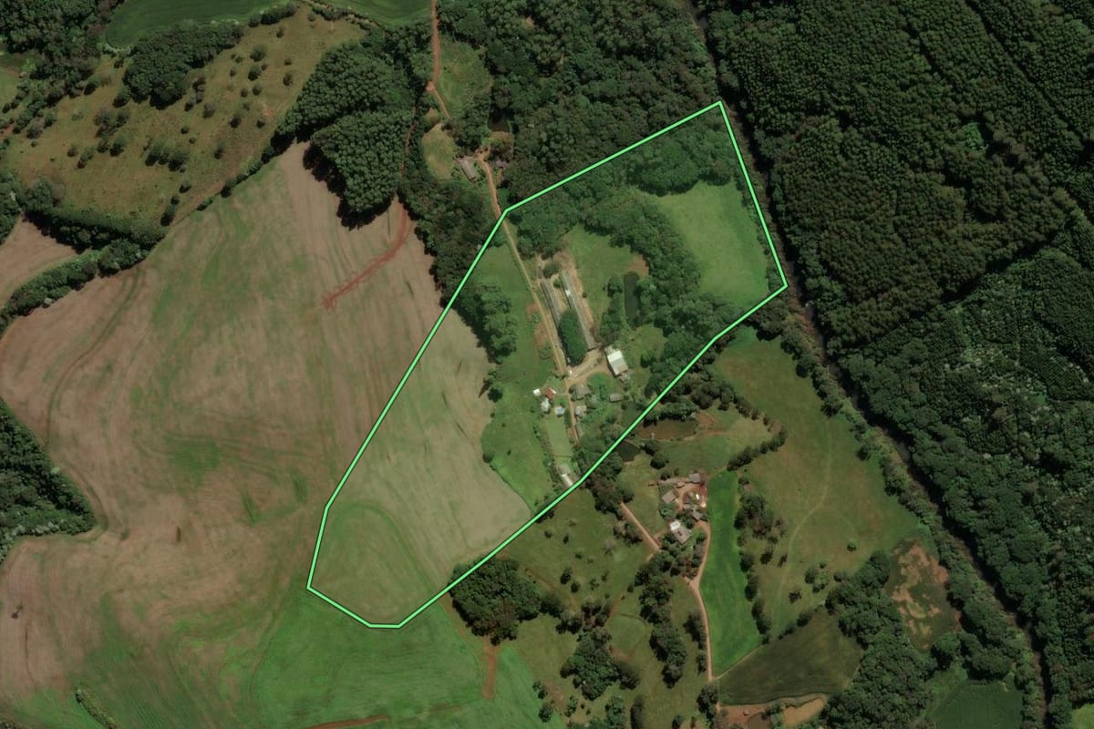 Imagem de satélite do imóvel rural em Francisco Beltrão (PR), com o contorno declarado no CAR desenhado por cima.