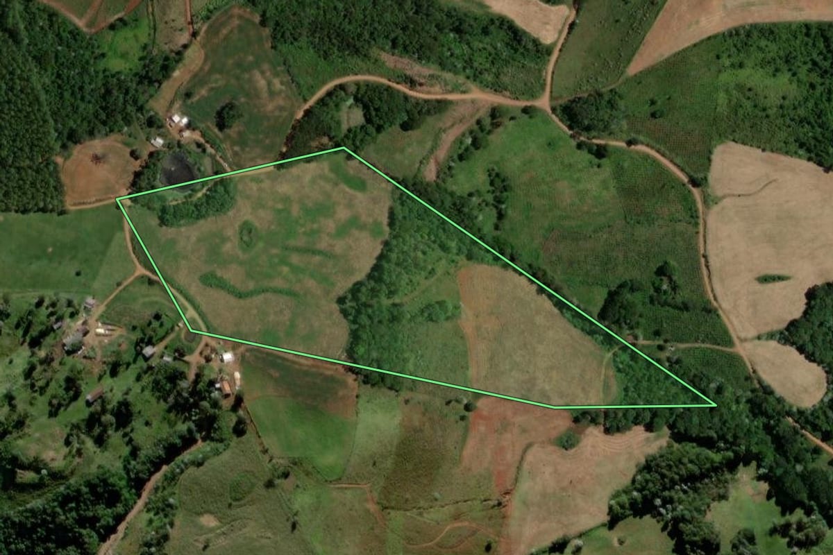 Imagem de satélite do imóvel rural em Francisco Beltrão (PR), com o contorno declarado no CAR desenhado por cima.