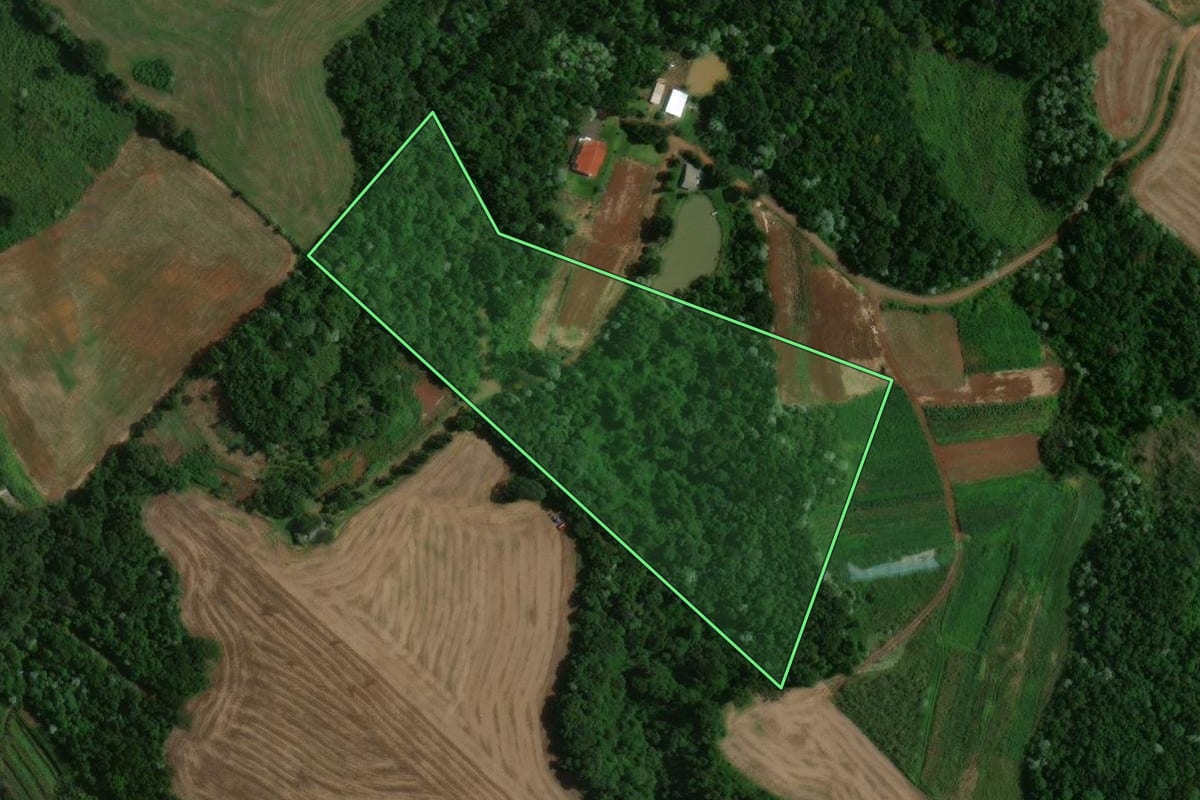 Imagem de satélite do imóvel rural em Francisco Beltrão (PR), com o contorno declarado no CAR desenhado por cima.