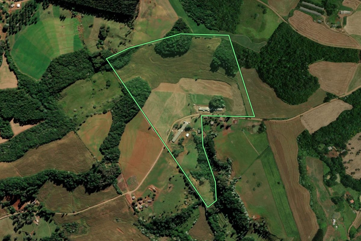 Imagem de satélite do imóvel rural em Francisco Beltrão (PR), com o contorno declarado no CAR desenhado por cima.
