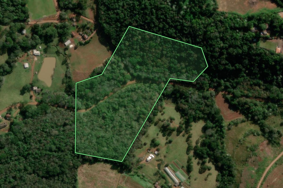 Imagem de satélite do imóvel rural em Francisco Beltrão (PR), com o contorno declarado no CAR desenhado por cima.