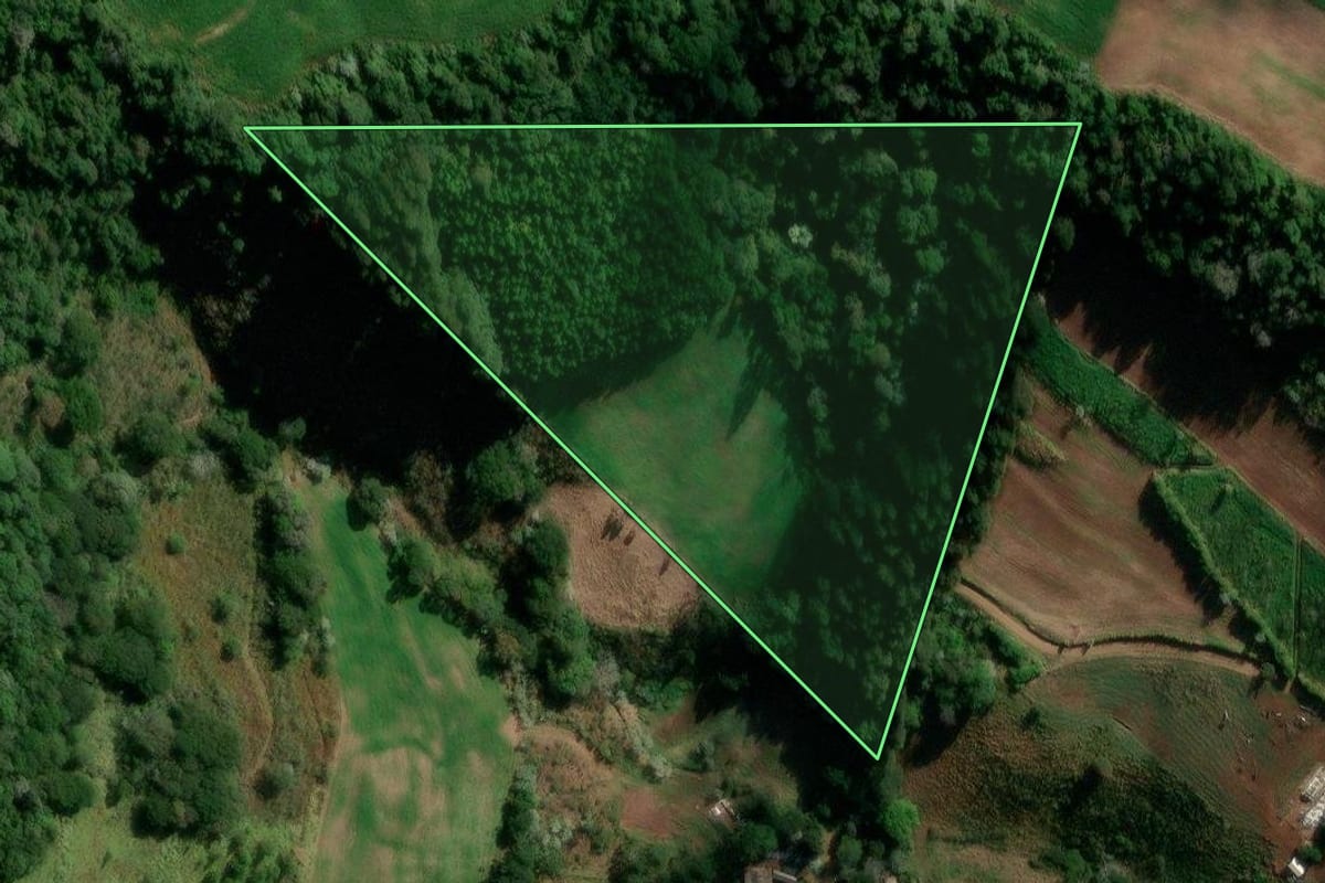 Imagem de satélite do imóvel rural em Francisco Beltrão (PR), com o contorno declarado no CAR desenhado por cima.