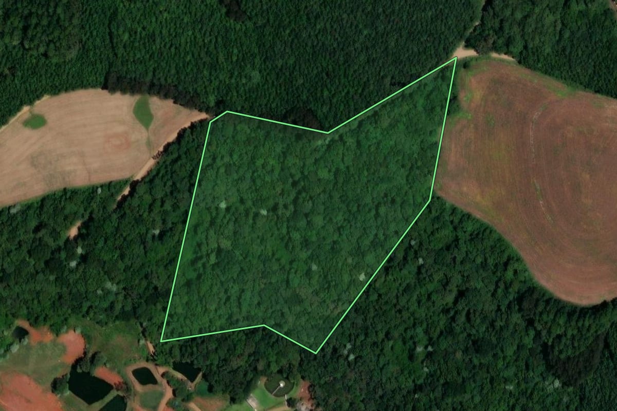 Imagem de satélite do imóvel rural em Francisco Beltrão (PR), com o contorno declarado no CAR desenhado por cima.