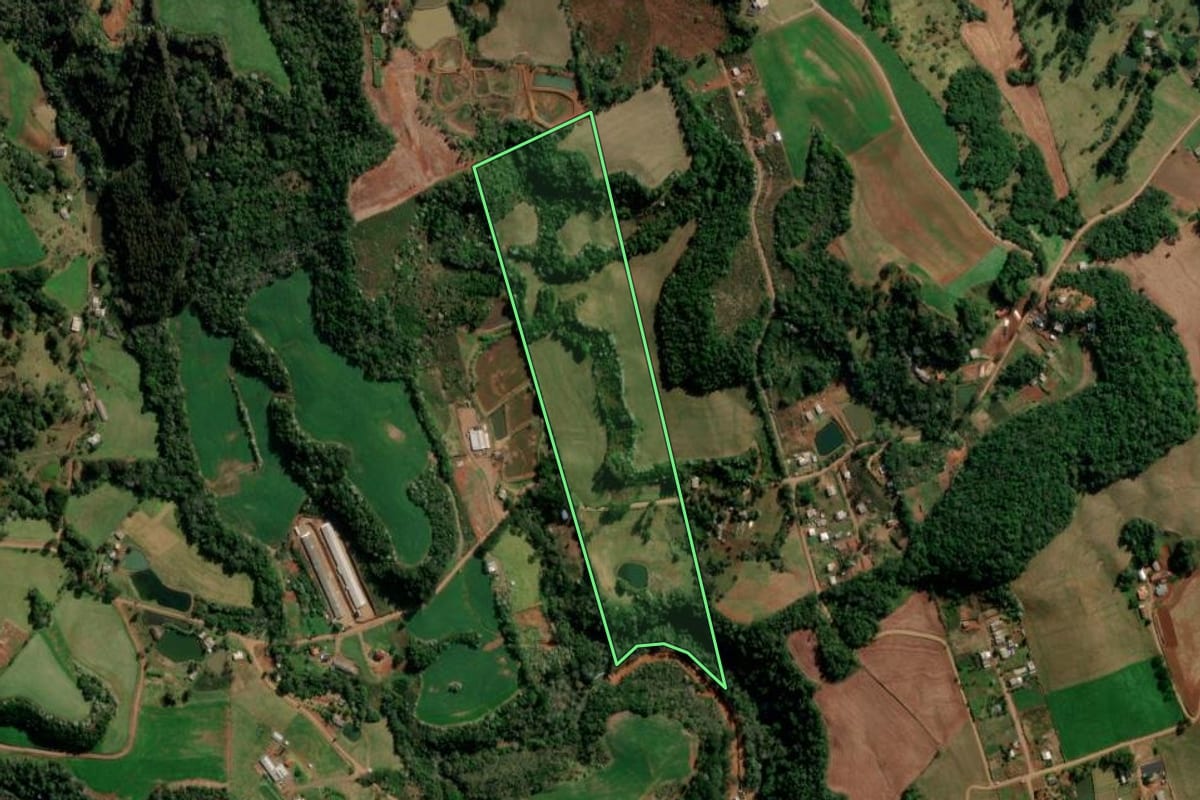 Imagem de satélite do imóvel rural em Francisco Beltrão (PR), com o contorno declarado no CAR desenhado por cima.