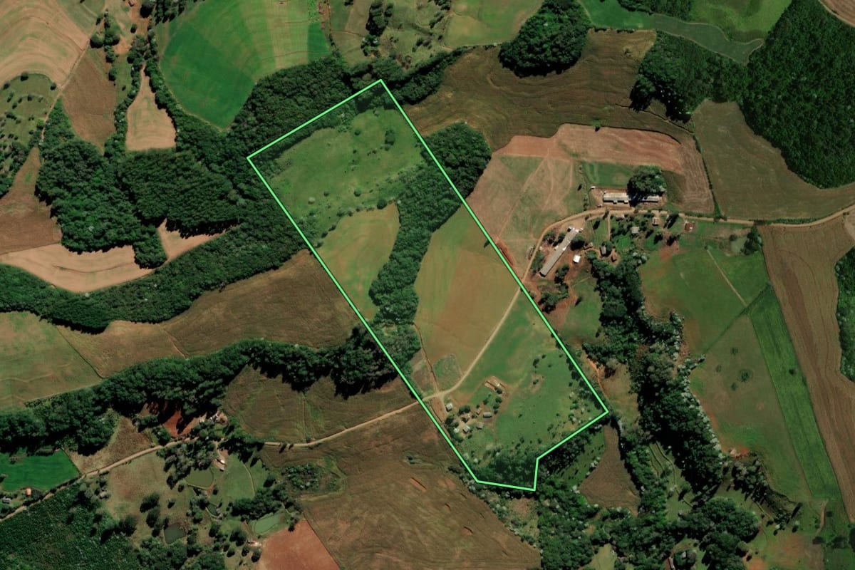 Imagem de satélite do imóvel rural em Francisco Beltrão (PR), com o contorno declarado no CAR desenhado por cima.