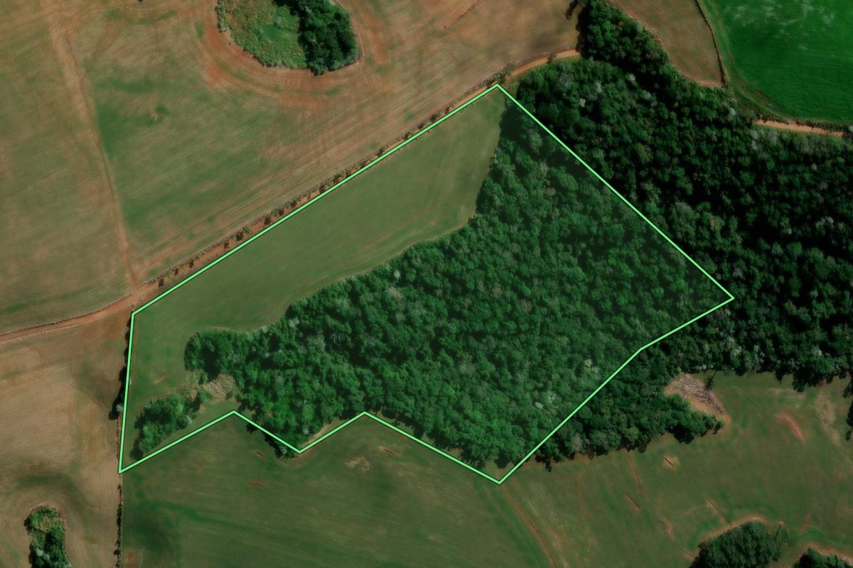 Imagem de satélite do imóvel rural em Francisco Beltrão (PR), com o contorno declarado no CAR desenhado por cima.