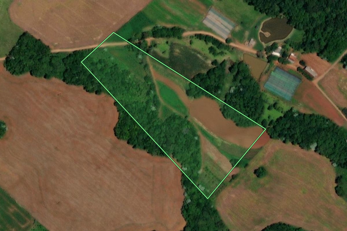 Imagem de satélite do imóvel rural em Francisco Beltrão (PR), com o contorno declarado no CAR desenhado por cima.