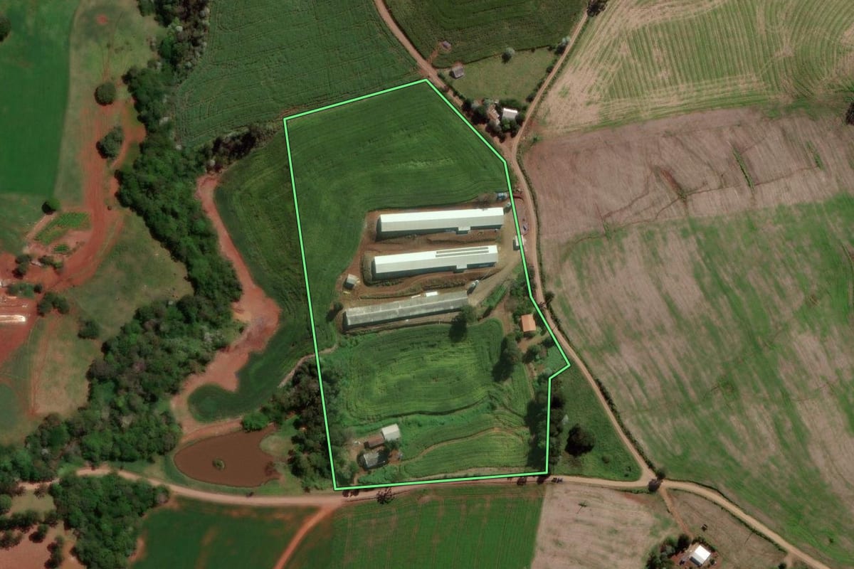 Imagem de satélite do imóvel rural em Francisco Beltrão (PR), com o contorno declarado no CAR desenhado por cima.